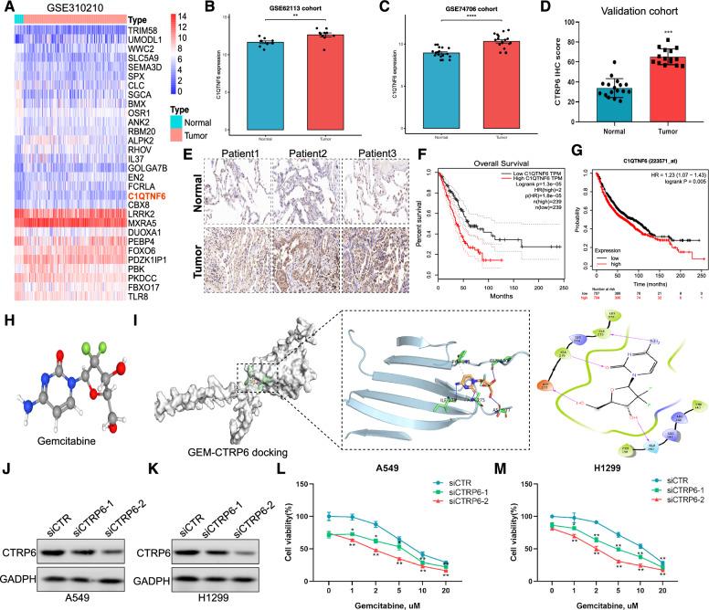 https://cdn.ncbi.nlm.nih.gov/pmc/blobs/37e7/12131836/c6cf8a44ad18/12951_2025_3428_Fig1_HTML.jpg