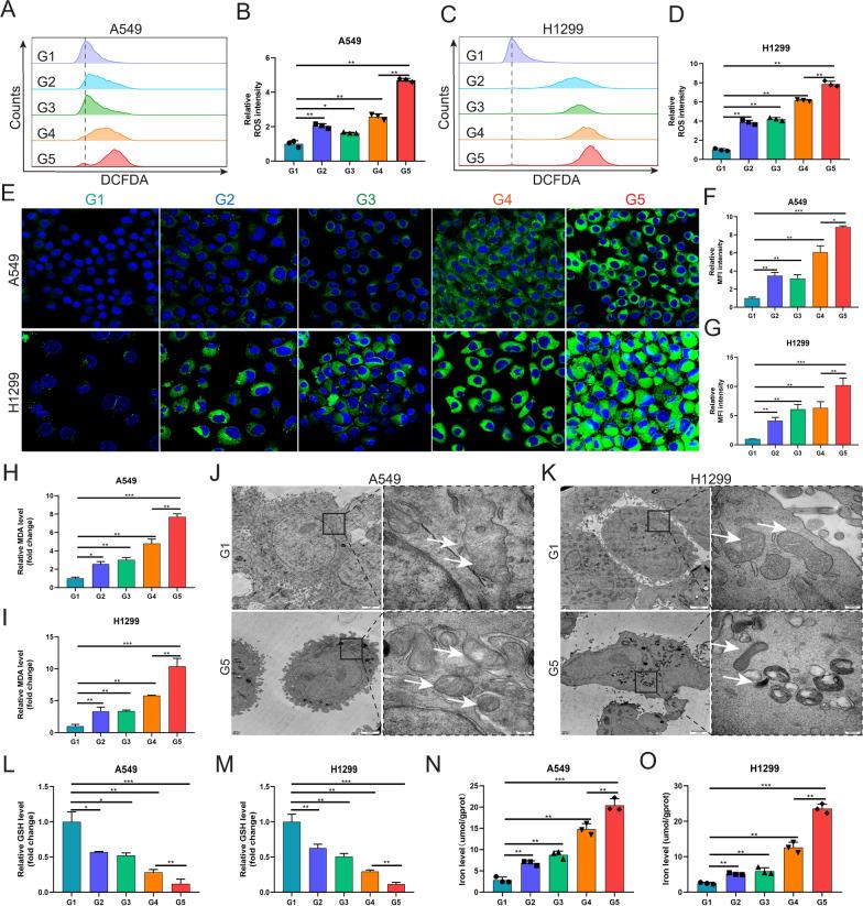 https://cdn.ncbi.nlm.nih.gov/pmc/blobs/37e7/12131836/d665127fe836/12951_2025_3428_Fig4_HTML.jpg