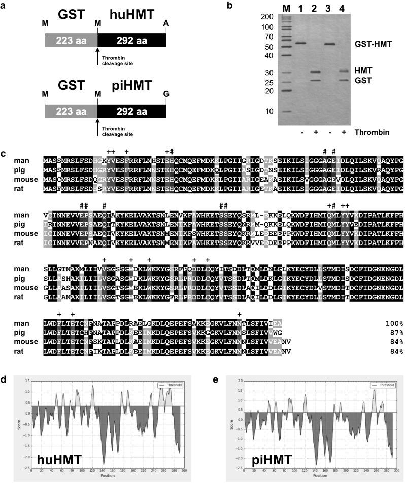 https://cdn.ncbi.nlm.nih.gov/pmc/blobs/37e7/5209425/c7ab90bd0a62/11_2016_987_Fig1_HTML.jpg
