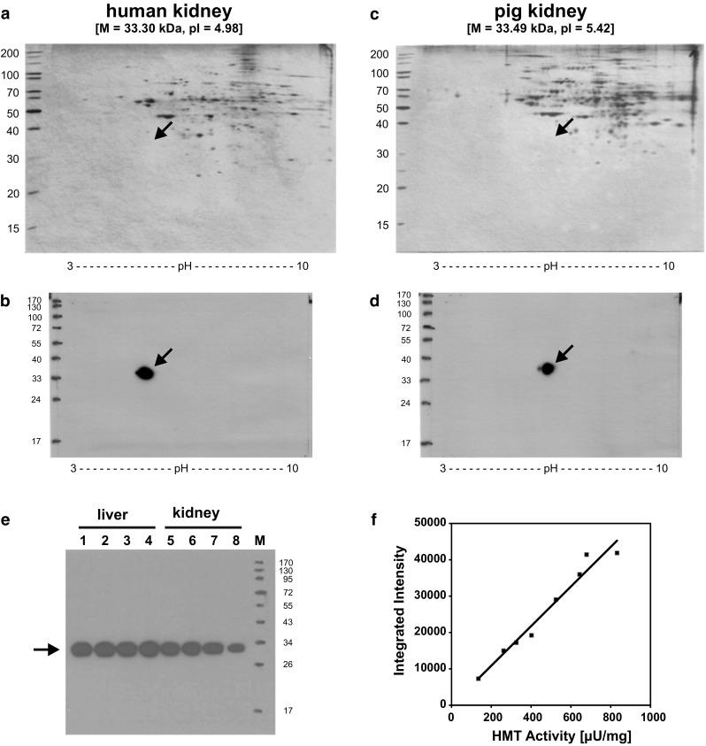 https://cdn.ncbi.nlm.nih.gov/pmc/blobs/37e7/5209425/f63dcc9581b6/11_2016_987_Fig3_HTML.jpg