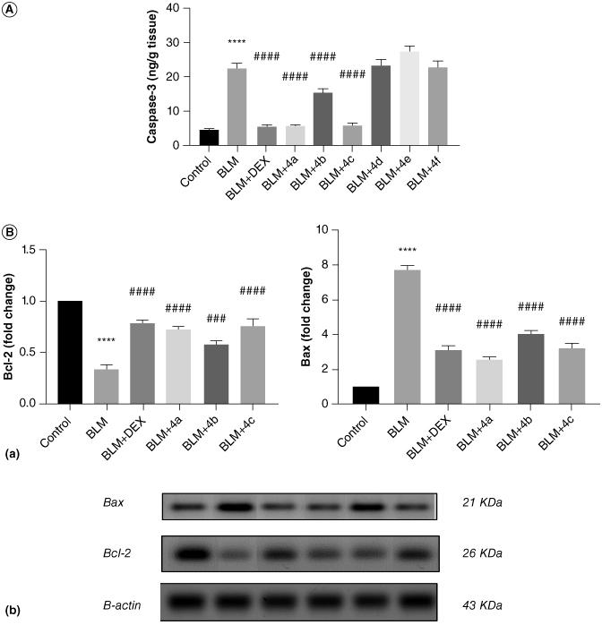 https://cdn.ncbi.nlm.nih.gov/pmc/blobs/37e9/11622787/c470d39bb237/IFMC_A_2394018_F0005_B.jpg