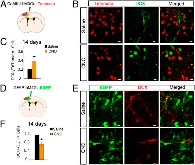https://cdn.ncbi.nlm.nih.gov/pmc/blobs/37ef/6612913/5e625b715568/pnas.1811825116fig03.jpg