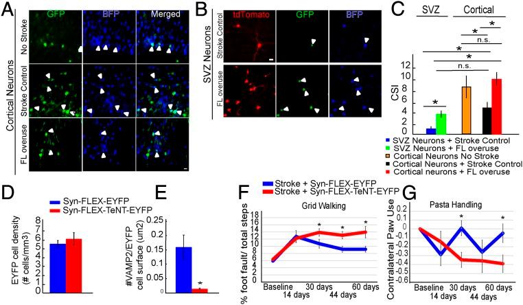 https://cdn.ncbi.nlm.nih.gov/pmc/blobs/37ef/6612913/fe14effde2ad/pnas.1811825116fig06.jpg