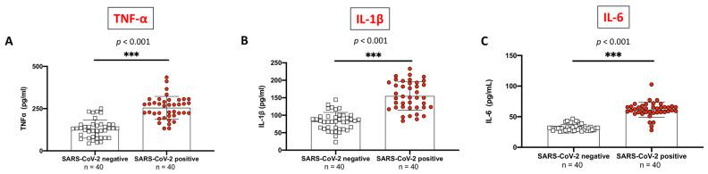 https://cdn.ncbi.nlm.nih.gov/pmc/blobs/37f2/10531731/771ddfd034e8/ijms-24-14195-g002.jpg