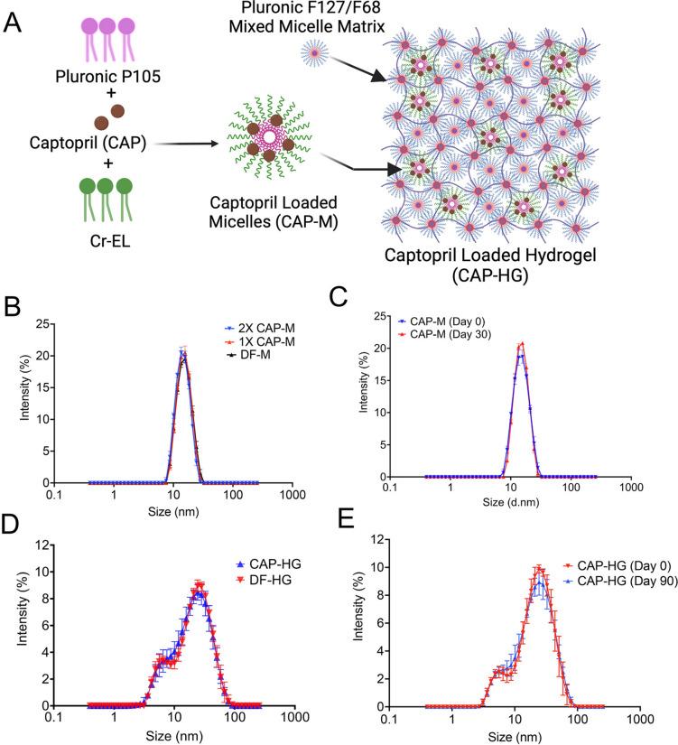 https://cdn.ncbi.nlm.nih.gov/pmc/blobs/37f2/11329637/5f62ceeeb2c2/41598_2024_69437_Fig1_HTML.jpg
