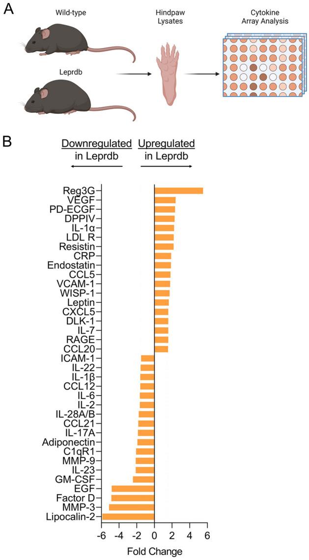 https://cdn.ncbi.nlm.nih.gov/pmc/blobs/37f2/11329637/be9090dc98cd/41598_2024_69437_Fig5_HTML.jpg