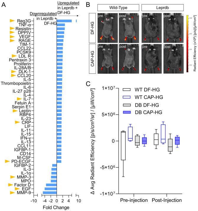 https://cdn.ncbi.nlm.nih.gov/pmc/blobs/37f2/11329637/ca58f900603b/41598_2024_69437_Fig6_HTML.jpg
