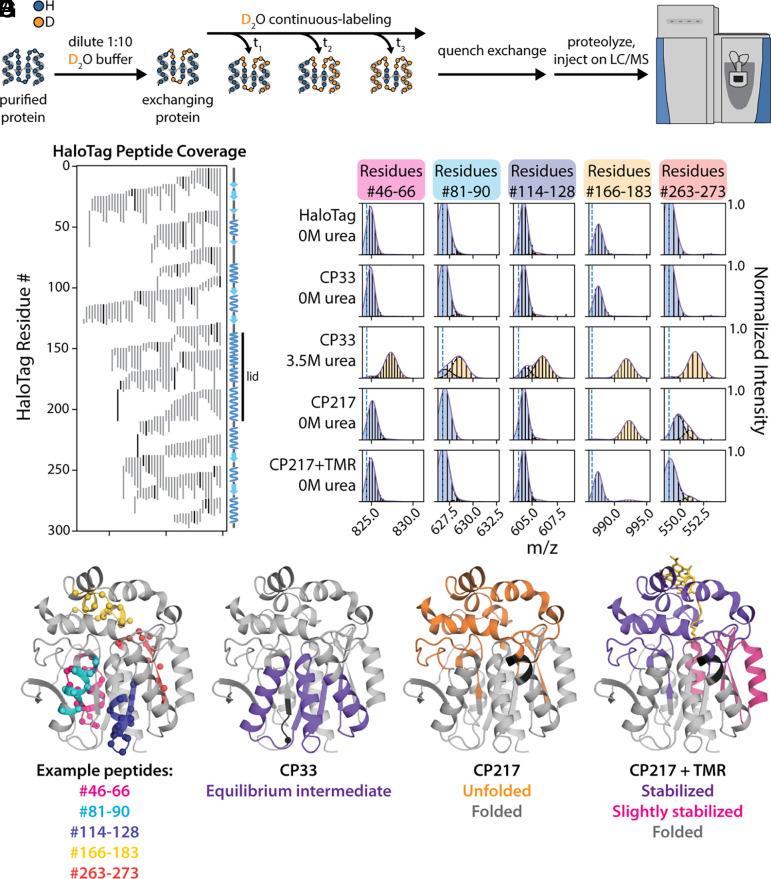 https://cdn.ncbi.nlm.nih.gov/pmc/blobs/37f4/11348275/0f9016a43907/pnas.2321999121fig04.jpg