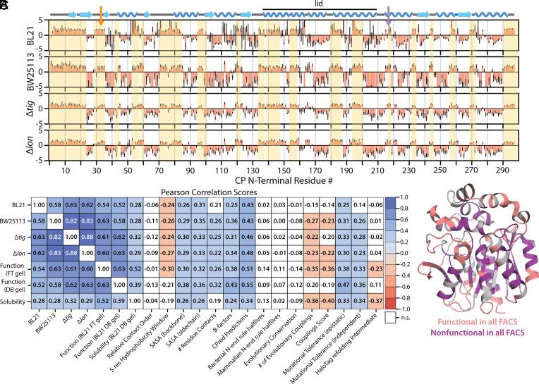 https://cdn.ncbi.nlm.nih.gov/pmc/blobs/37f4/11348275/67b62dc1000b/pnas.2321999121fig02.jpg