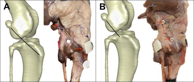 https://cdn.ncbi.nlm.nih.gov/pmc/blobs/37f9/10364379/fdac4fe3be65/12917_2023_3656_Fig7_HTML.jpg