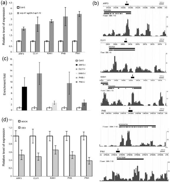 https://cdn.ncbi.nlm.nih.gov/pmc/blobs/37f9/3706845/62abdecbd8ea/gb-2013-14-6-r56-8.jpg