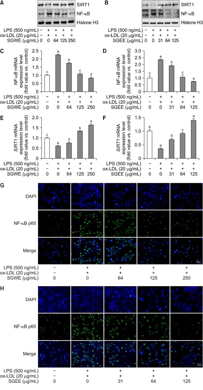 https://cdn.ncbi.nlm.nih.gov/pmc/blobs/37fb/11450289/d73e8f35cced/pnfs-29-3-288-f5.jpg