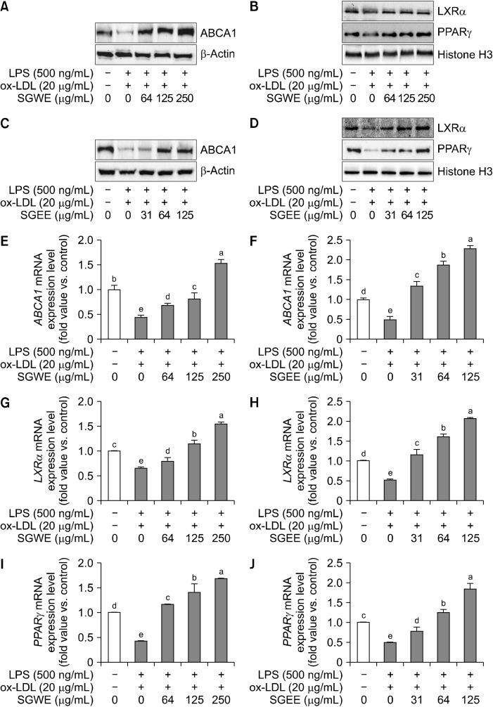https://cdn.ncbi.nlm.nih.gov/pmc/blobs/37fb/11450289/e31af7d4acd2/pnfs-29-3-288-f3.jpg