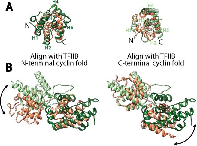 https://cdn.ncbi.nlm.nih.gov/pmc/blobs/37fc/5489313/1862e9e7f915/elife-27414-fig2-figsupp2.jpg