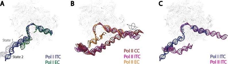 https://cdn.ncbi.nlm.nih.gov/pmc/blobs/37fc/5489313/5491180ea048/elife-27414-fig5.jpg