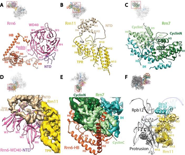 https://cdn.ncbi.nlm.nih.gov/pmc/blobs/37fc/5489313/650eb3dd8d31/elife-27414-fig2.jpg