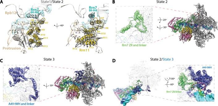 https://cdn.ncbi.nlm.nih.gov/pmc/blobs/37fc/5489313/aba00df98aec/elife-27414-fig4-figsupp1.jpg