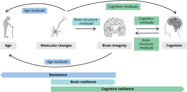 https://cdn.ncbi.nlm.nih.gov/pmc/blobs/37fd/8448552/89e6cb78ce96/NEUROLOGY2021172208F3.jpg