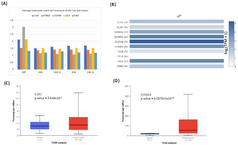 https://cdn.ncbi.nlm.nih.gov/pmc/blobs/37fd/8951270/0b14673a911f/genes-13-00518-g008.jpg