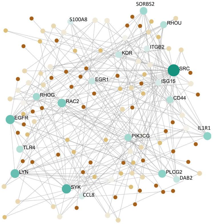 https://cdn.ncbi.nlm.nih.gov/pmc/blobs/37fd/8951270/58a6696a20f2/genes-13-00518-g006.jpg