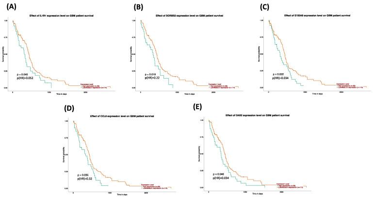 https://cdn.ncbi.nlm.nih.gov/pmc/blobs/37fd/8951270/d259a24f3166/genes-13-00518-g007.jpg