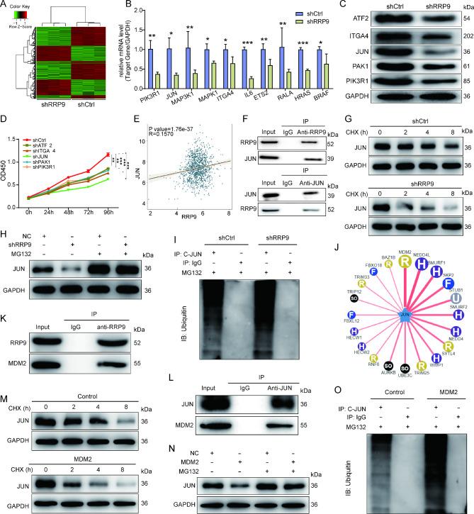 https://cdn.ncbi.nlm.nih.gov/pmc/blobs/37fe/11660783/1799606cb605/13062_2024_578_Fig4_HTML.jpg