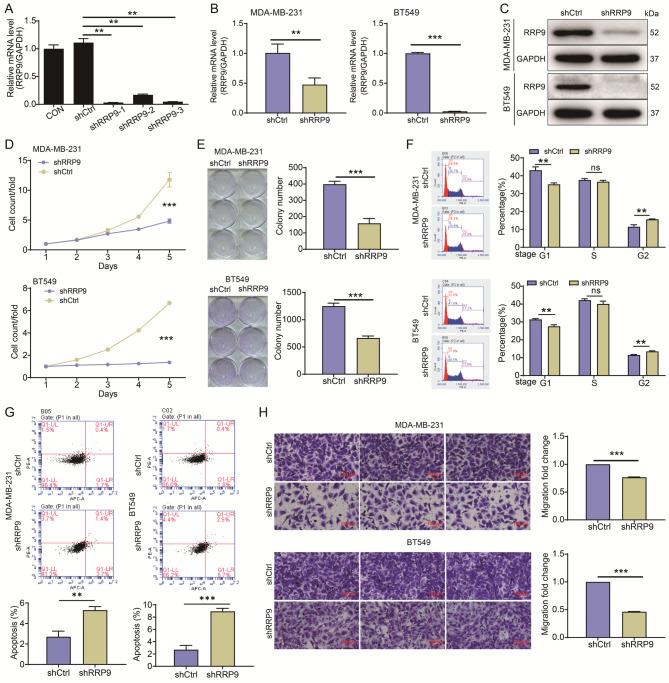 https://cdn.ncbi.nlm.nih.gov/pmc/blobs/37fe/11660783/5be30ab4c26e/13062_2024_578_Fig2_HTML.jpg