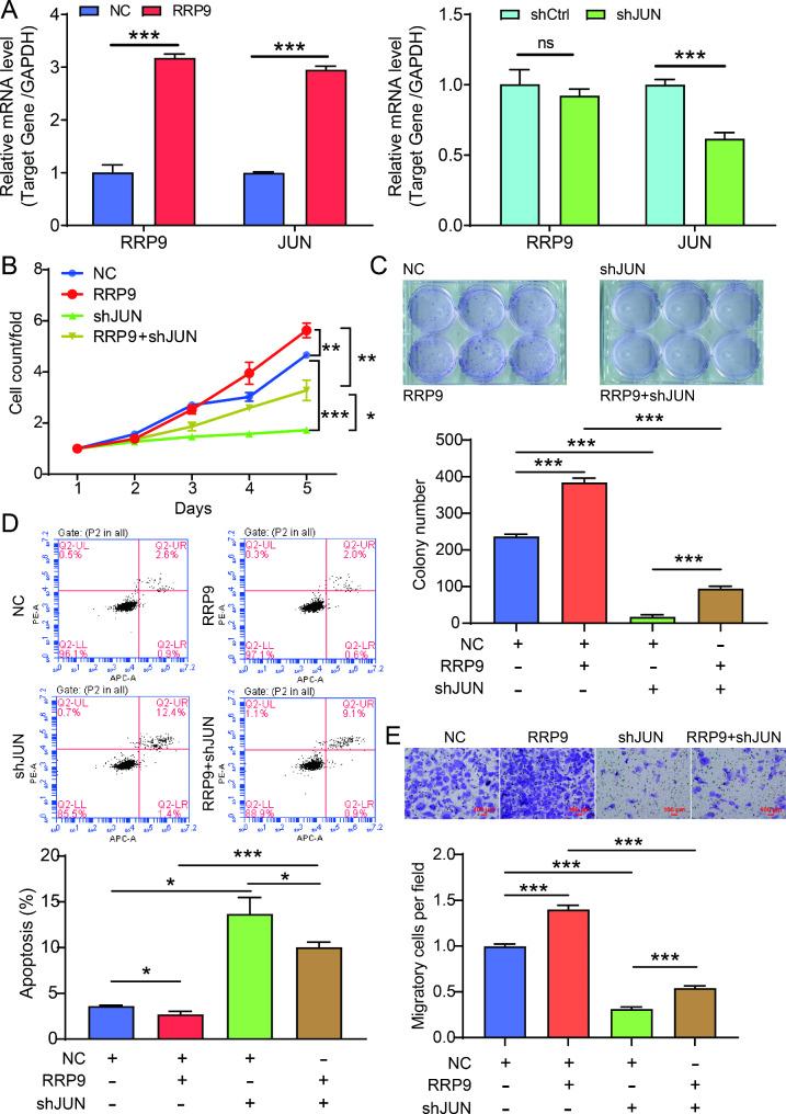 https://cdn.ncbi.nlm.nih.gov/pmc/blobs/37fe/11660783/d603732e263c/13062_2024_578_Fig5_HTML.jpg