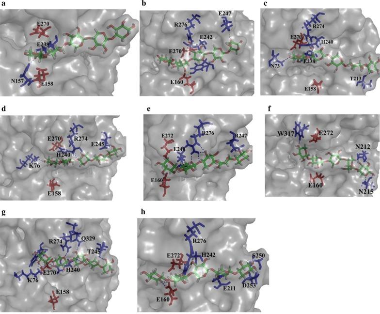 https://cdn.ncbi.nlm.nih.gov/pmc/blobs/37fe/6892236/f7d6394a5eeb/13068_2019_1620_Fig8_HTML.jpg