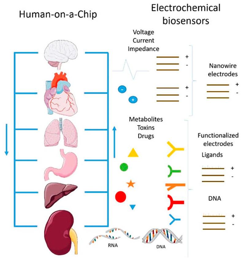 https://cdn.ncbi.nlm.nih.gov/pmc/blobs/37fe/8126238/1e6490d8b98e/sensors-21-03304-g004.jpg