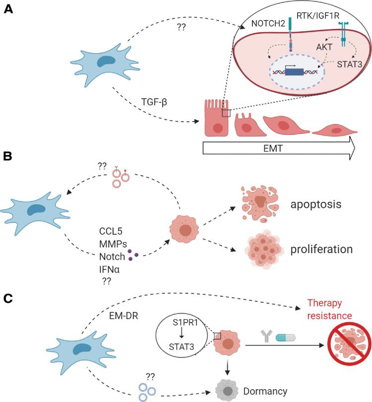 https://cdn.ncbi.nlm.nih.gov/pmc/blobs/37ff/7826431/2aefc5b00a9f/scd.2020.0142_figure3.jpg