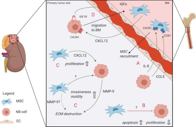 https://cdn.ncbi.nlm.nih.gov/pmc/blobs/37ff/7826431/4342dadd089b/scd.2020.0142_figure1.jpg