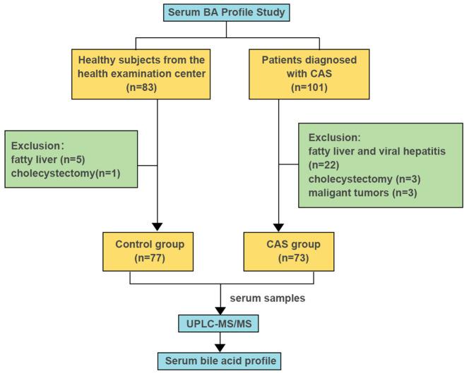 https://cdn.ncbi.nlm.nih.gov/pmc/blobs/3802/11284041/63da92e7c458/fendo-15-1430720-g001.jpg