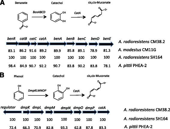 https://cdn.ncbi.nlm.nih.gov/pmc/blobs/3802/5505149/4af645c5c814/12864_2017_3925_Fig4_HTML.jpg