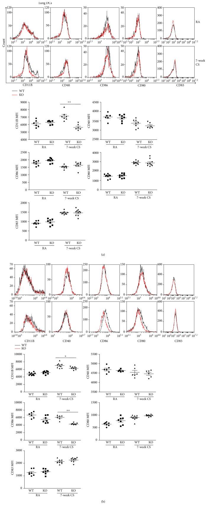 https://cdn.ncbi.nlm.nih.gov/pmc/blobs/3802/5603328/a8cf95bb22a3/MI2017-6506953.008.jpg
