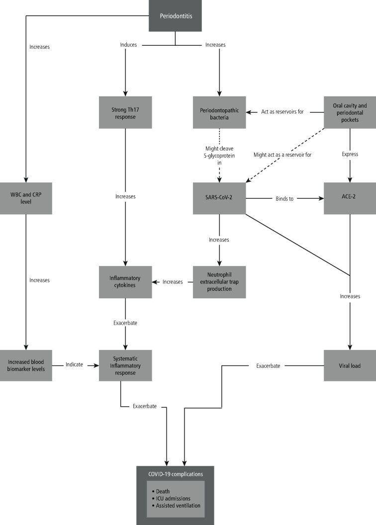 https://cdn.ncbi.nlm.nih.gov/pmc/blobs/3802/8226334/9371796473e7/41432_2021_179_Fig2_HTML.jpg