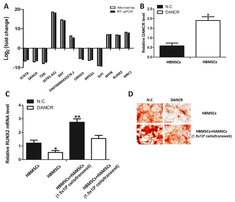 https://cdn.ncbi.nlm.nih.gov/pmc/blobs/3803/5865784/026048a41cce/mmr-16-05-6683-g02.jpg