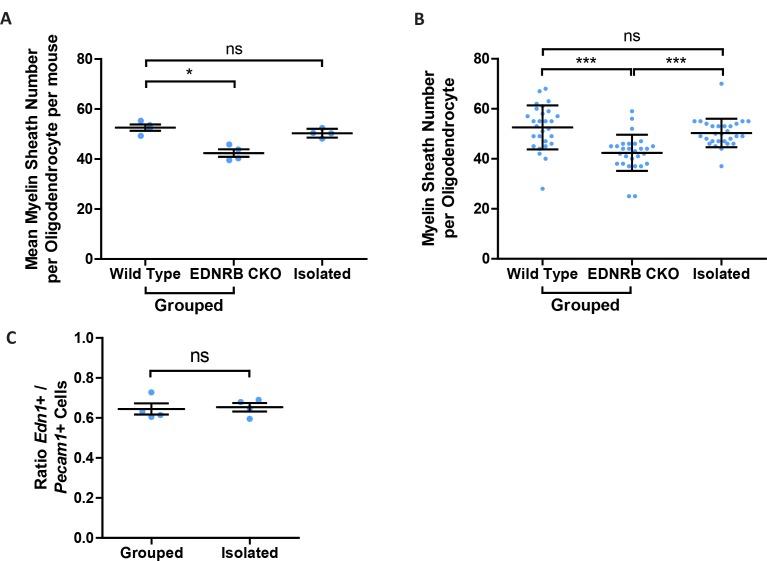 https://cdn.ncbi.nlm.nih.gov/pmc/blobs/3803/6831104/005a30eb754e/elife-49493-fig1-figsupp3.jpg