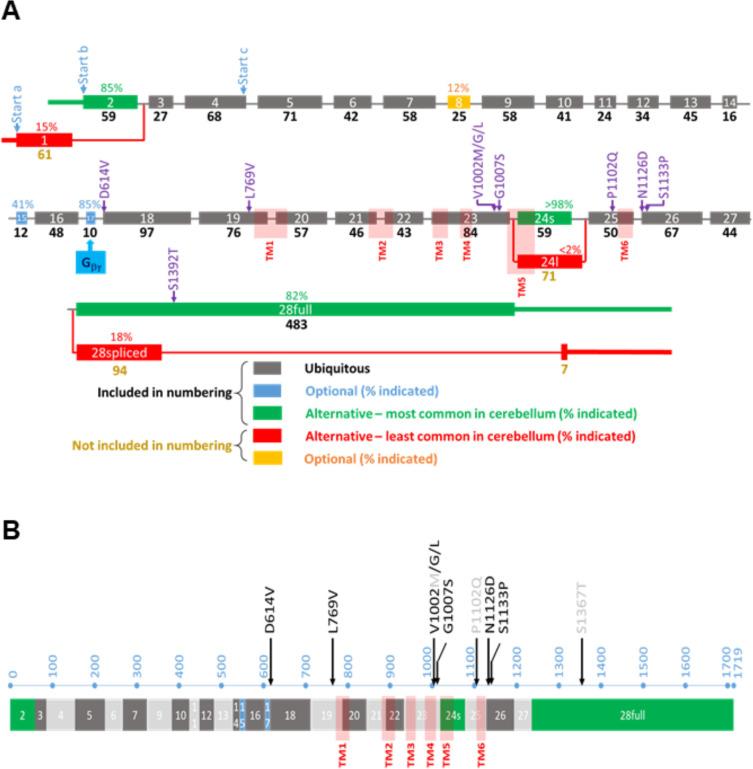 https://cdn.ncbi.nlm.nih.gov/pmc/blobs/3803/9886277/810d560264c9/elife-81032-fig1.jpg