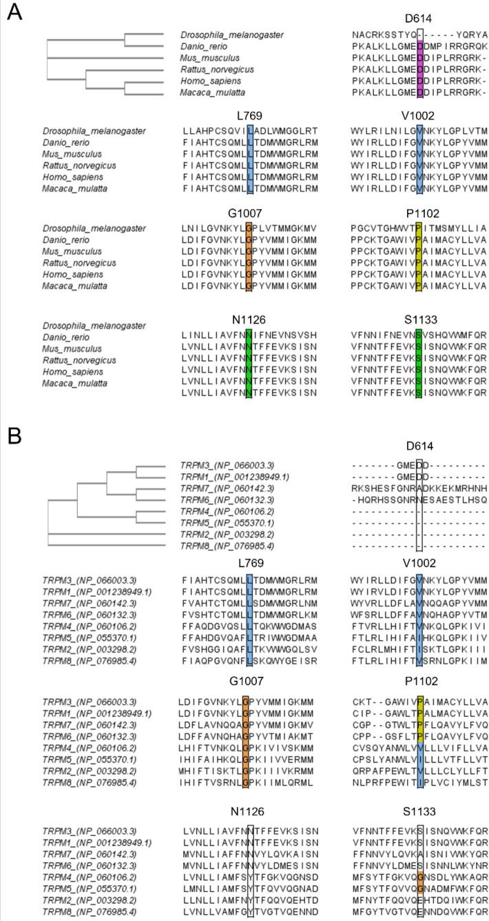 https://cdn.ncbi.nlm.nih.gov/pmc/blobs/3803/9886277/9525934866fc/elife-81032-fig1-figsupp3.jpg