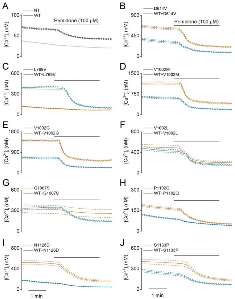 https://cdn.ncbi.nlm.nih.gov/pmc/blobs/3803/9886277/a4bf15c2ef71/elife-81032-fig3-figsupp1.jpg