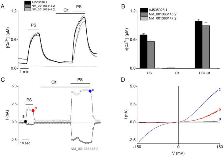 https://cdn.ncbi.nlm.nih.gov/pmc/blobs/3803/9886277/e67d54798fac/elife-81032-fig1-figsupp1.jpg