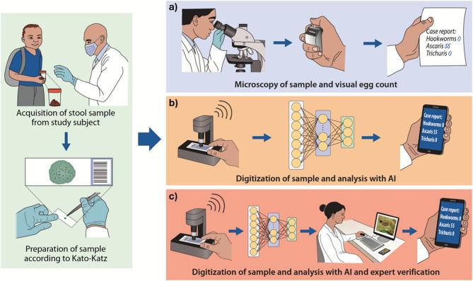 https://cdn.ncbi.nlm.nih.gov/pmc/blobs/3805/12205037/1f64027df849/41598_2025_7309_Fig4_HTML.jpg