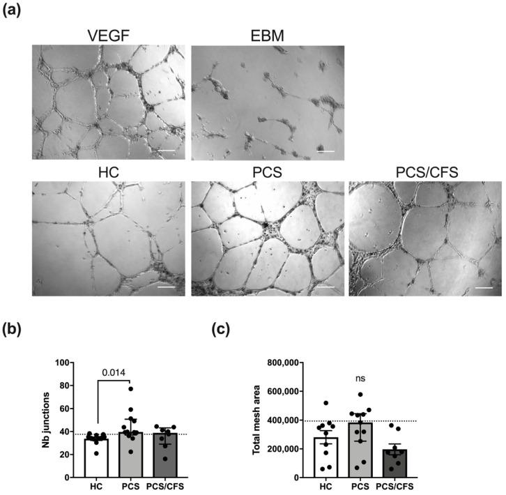 https://cdn.ncbi.nlm.nih.gov/pmc/blobs/3805/9367589/5e3d54cfed40/cells-11-02376-g004.jpg