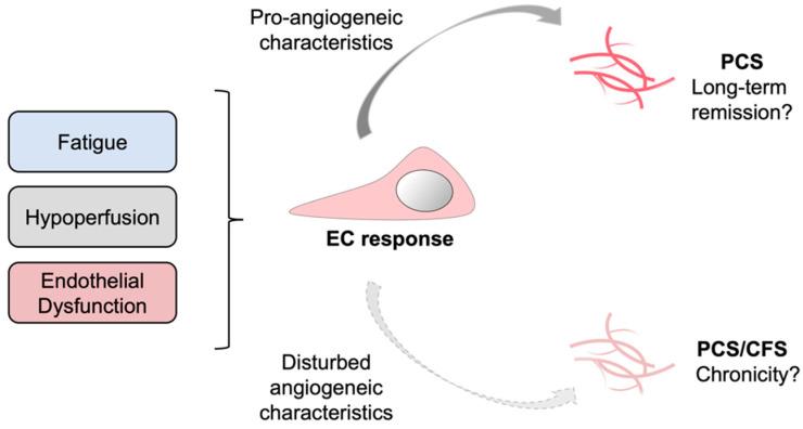 https://cdn.ncbi.nlm.nih.gov/pmc/blobs/3805/9367589/d03c32324b20/cells-11-02376-g005.jpg