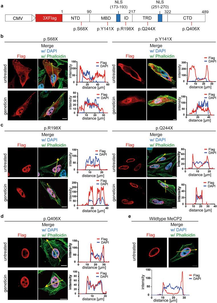 https://cdn.ncbi.nlm.nih.gov/pmc/blobs/3807/11055764/1bf5057ddc46/109_2024_2436_Fig5_HTML.jpg