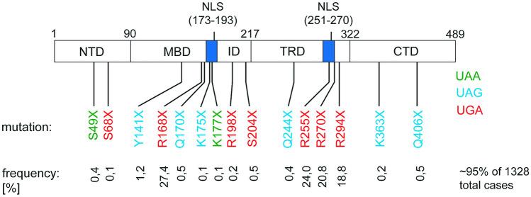 https://cdn.ncbi.nlm.nih.gov/pmc/blobs/3807/11055764/9bdc4da91fb5/109_2024_2436_Fig1_HTML.jpg