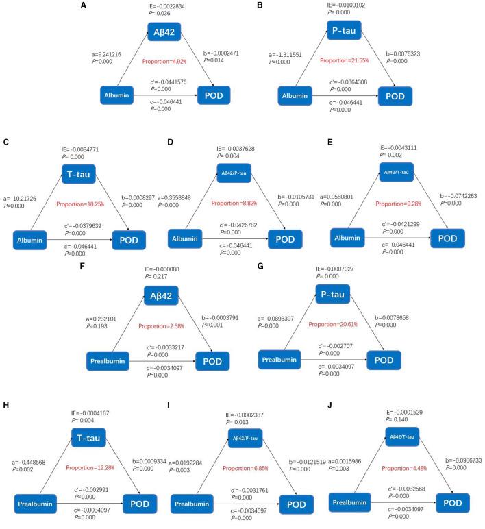 https://cdn.ncbi.nlm.nih.gov/pmc/blobs/3807/11061387/d49fe63c50fc/fneur-15-1375383-g0003.jpg