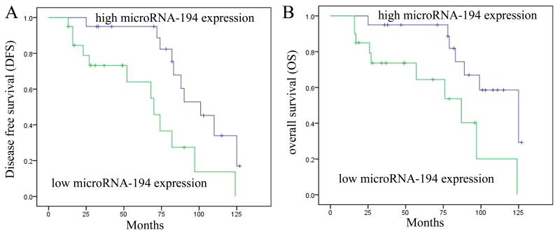 https://cdn.ncbi.nlm.nih.gov/pmc/blobs/3807/5428795/77ee5f42304a/OR-37-05-2702-g01.jpg