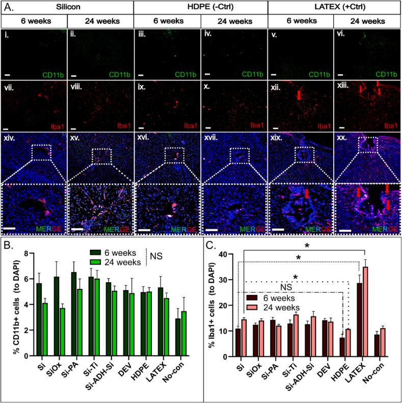 https://cdn.ncbi.nlm.nih.gov/pmc/blobs/3808/12088817/b9f8dfa45750/gr7.jpg